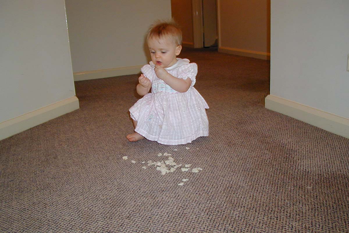 Amber eating off the floor in Syndey