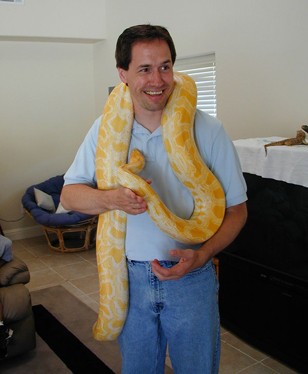 Snake necklace