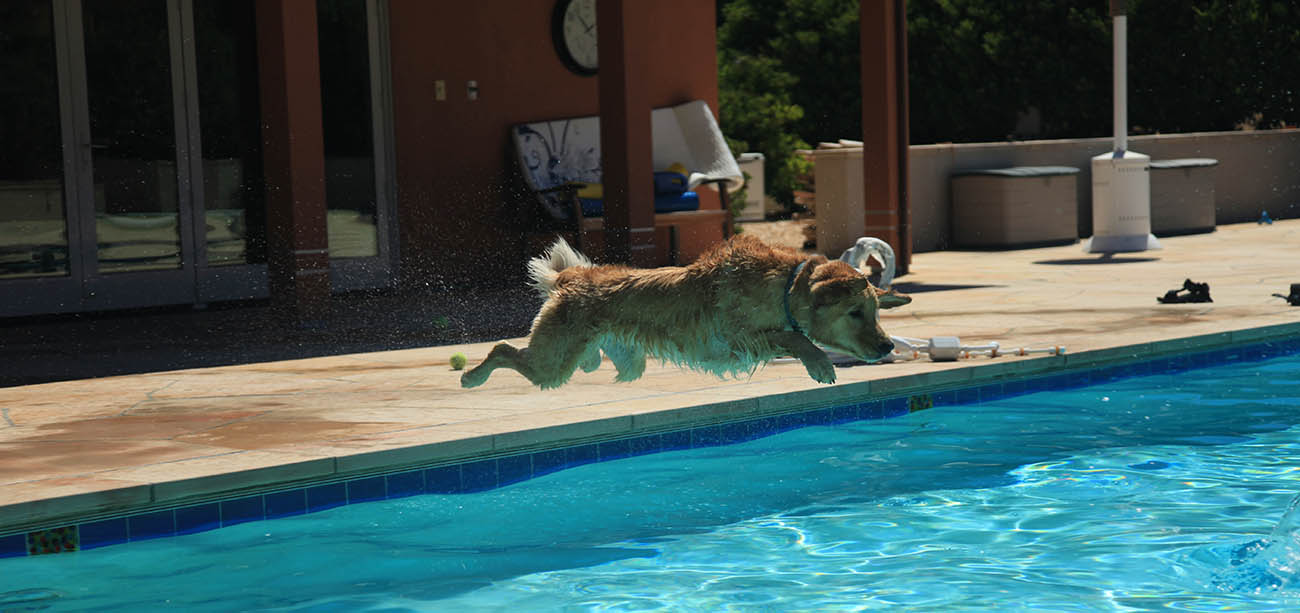 Diving into pool after a ball