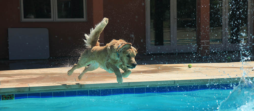 Diving into pool after a ball