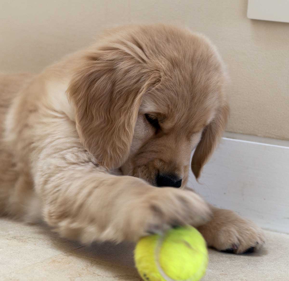 Calvin rolling a ball