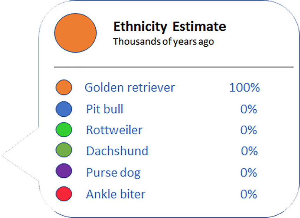 Calvin's DNA test results